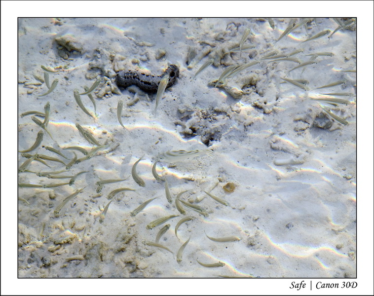 2008 - 07 - Leng Tengah - 019